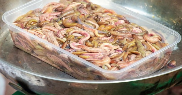 Cách bảo quản rươi Cách bảo quản rươi