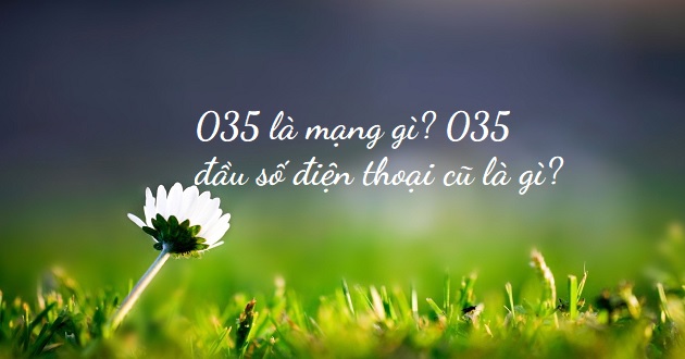 Đầu số 035