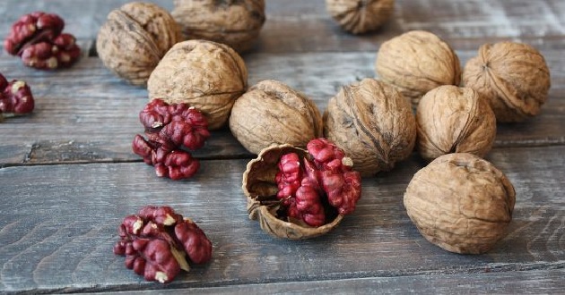 Quả óc chó Quả óc chó