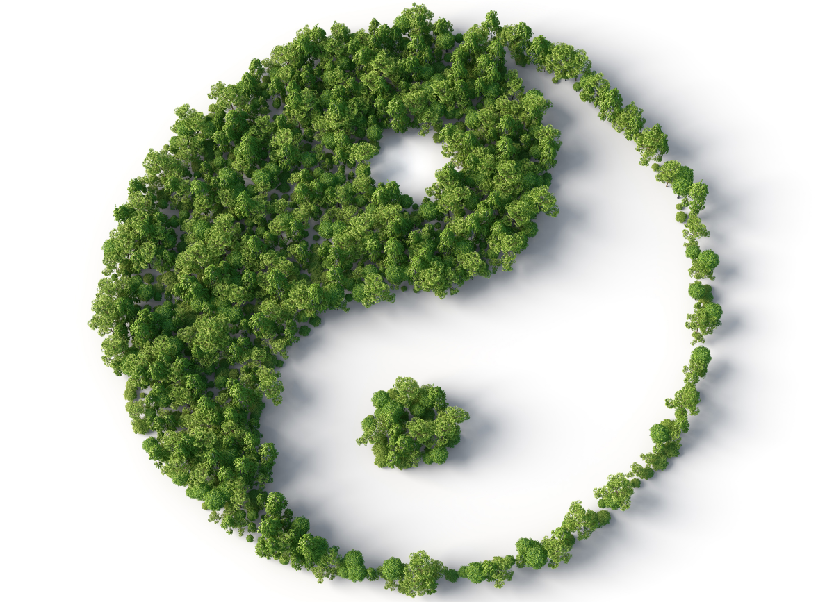 Ngũ hành tương sinh tương khắc là gì? Ngũ hành tương sinh tương khắc là gì?