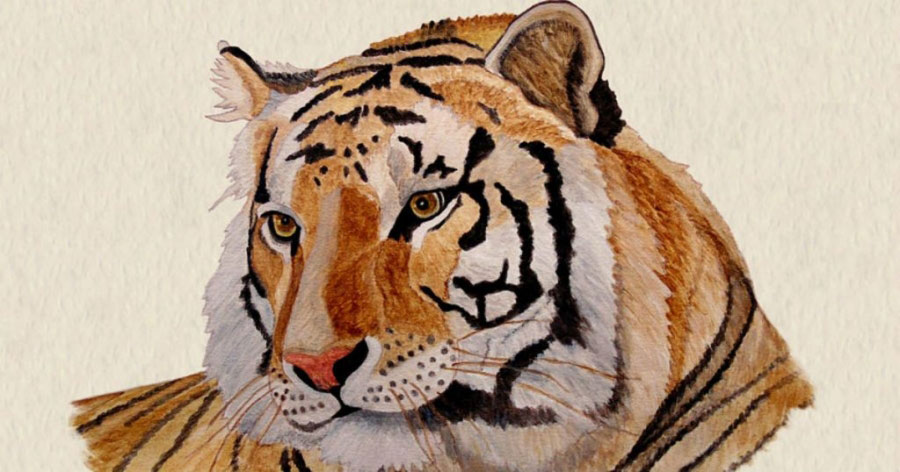 Tuổi Dần hợp màu gì?