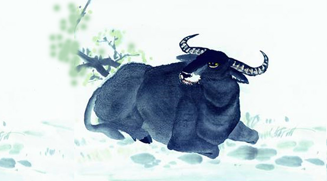 Tuổi Sửu kỵ với tuổi nào nhất? Tuổi Sửu kỵ với tuổi nào nhất?