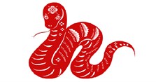 Tỵ là con gì, mệnh gì? Tuổi Tỵ hợp với tuổi nào, màu gì 2024?