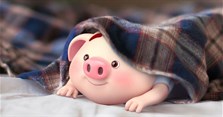 Tuổi Hợi mệnh gì? Tuổi Hợi hợp màu gì, hợp với tuổi nào?