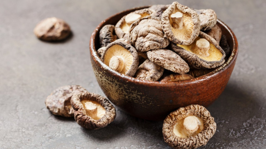 Cách làm mọc nấm hương mộc nhĩ