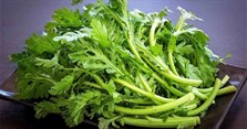 Rau tần ô (rau cải cúc): Tác dụng, cách nhặt, cách nấu canh