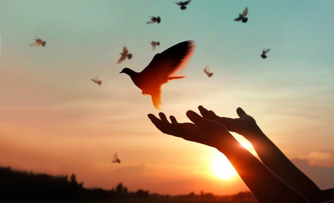 Những câu ca dao tục ngữ nói về lòng khoan dung hay, ý nghĩa