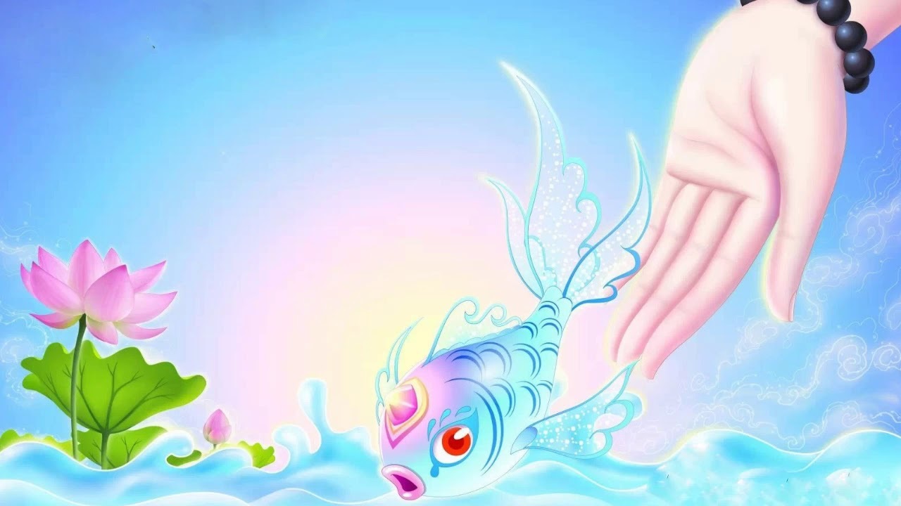 Phóng sinh làm việc thiện Phóng sinh làm việc thiện