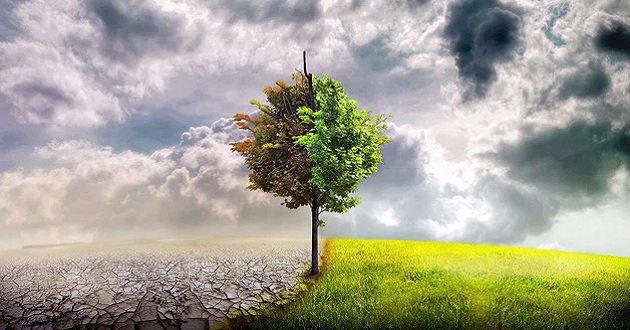 49 chưa qua 53 đã tới là gì 49 chưa qua 53 đã tới là gì