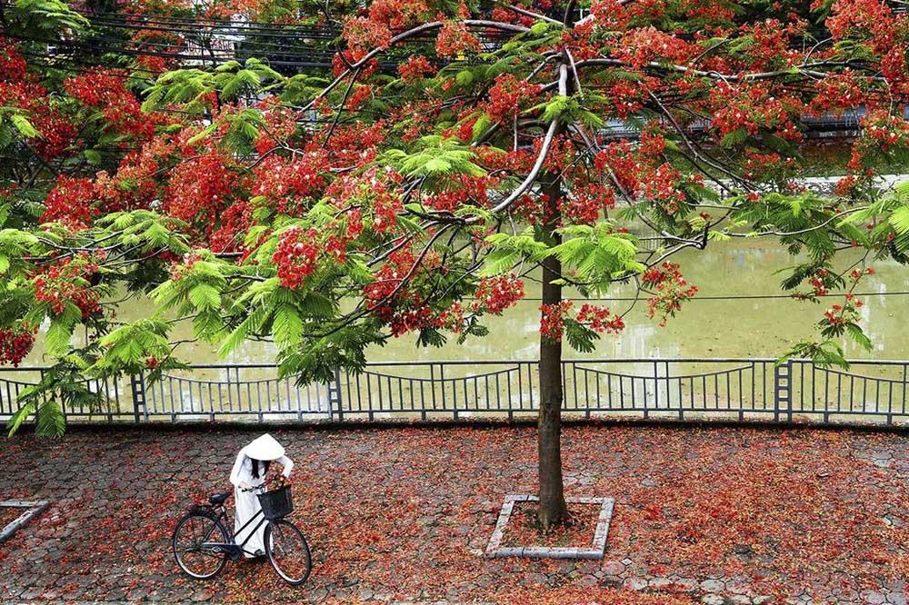 Thơ lục bát về mái trường mến yêu ngắn hay Thơ lục bát về mái trường mến yêu ngắn hay