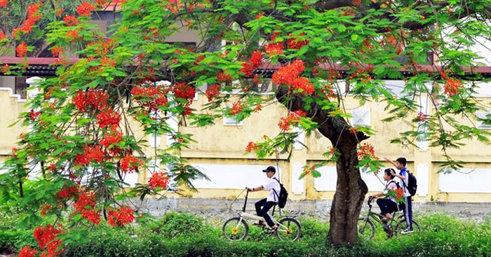 Thơ lục bát về mái trường mến yêu ngắn hay Thơ lục bát về mái trường mến yêu ngắn hay