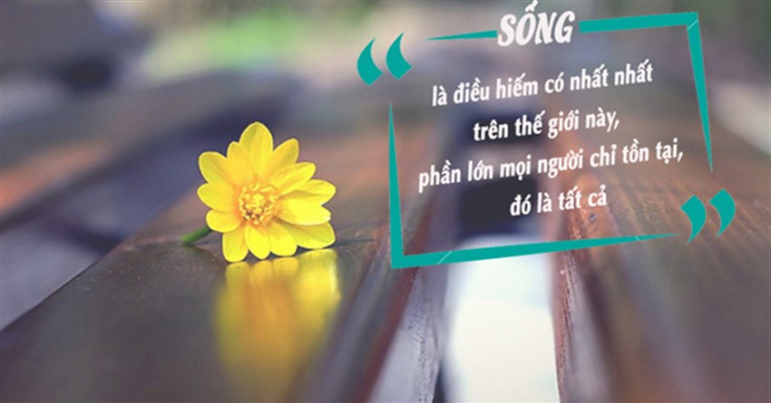50+ Câu nói hay về cuộc sống tích cực, stt tích cực về cuộc sống