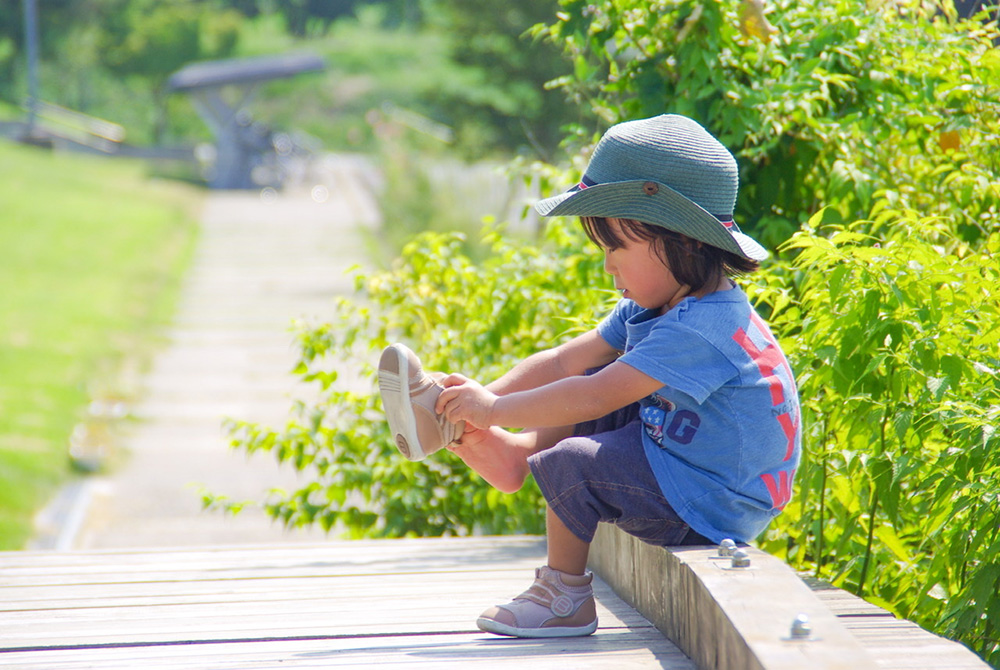 Những bài thơ về đồ chơi của bé hay nhất Những bài thơ về đồ chơi của bé hay nhất