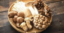 Tên các loại nấm ăn được, ngon, tốt cho sức khỏe