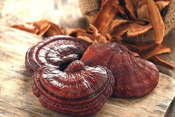 Những loại nấm tốt cho sức khỏe