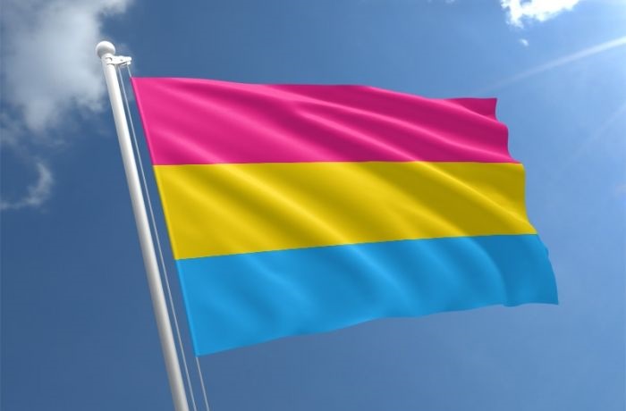 Cờ Pansexual màu gì?