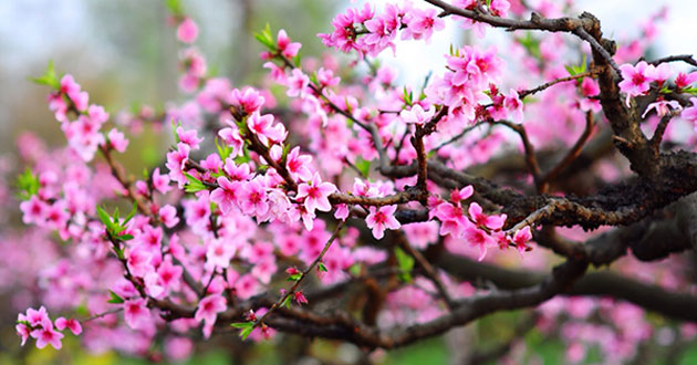 Tháng 1 năm 2022 có bao nhiêu ngày