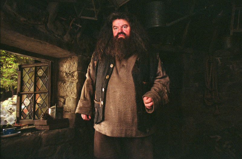 Rubeus Hagrid
