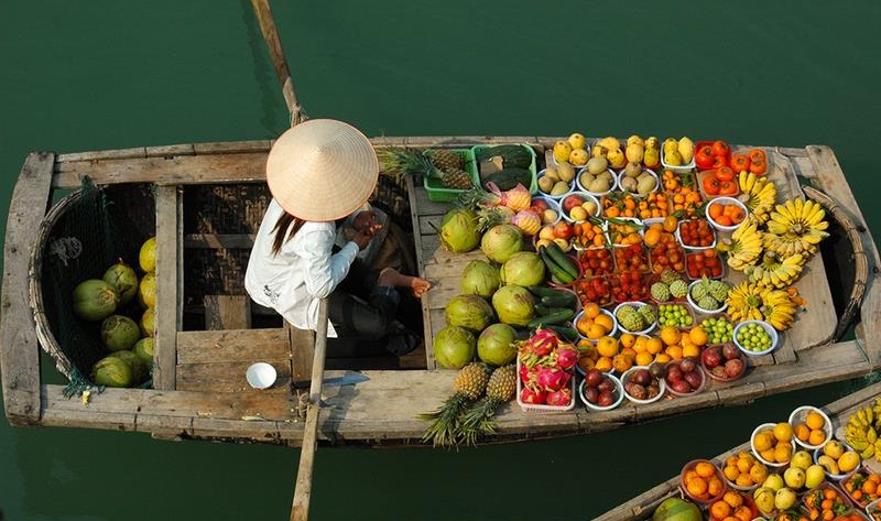 1 chục dừa là bao nhiêu trái?
