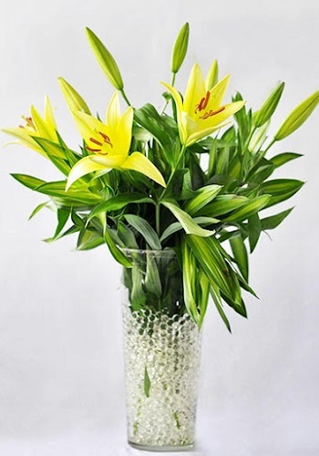 Các kiểu cắm hoa đẹp nhất, đơn giản nhất ngày lễ Tết Các kiểu cắm hoa đẹp nhất, đơn giản nhất ngày lễ Tết