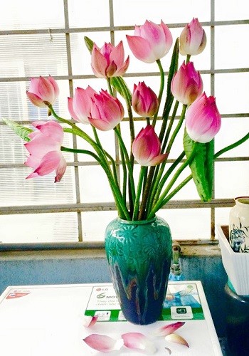 Các kiểu cắm hoa đẹp nhất, đơn giản nhất ngày lễ Tết Các kiểu cắm hoa đẹp nhất, đơn giản nhất ngày lễ Tết