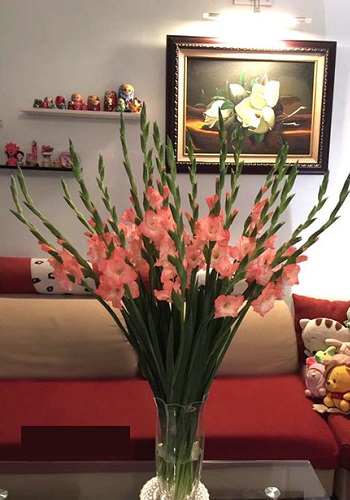 Các kiểu cắm hoa đẹp nhất, đơn giản nhất ngày lễ Tết Các kiểu cắm hoa đẹp nhất, đơn giản nhất ngày lễ Tết