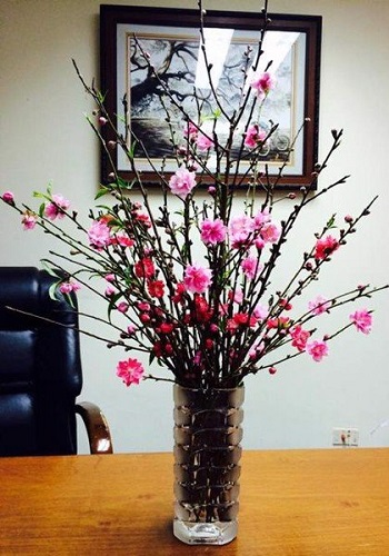 Các kiểu cắm hoa đẹp nhất, đơn giản nhất ngày lễ Tết Các kiểu cắm hoa đẹp nhất, đơn giản nhất ngày lễ Tết