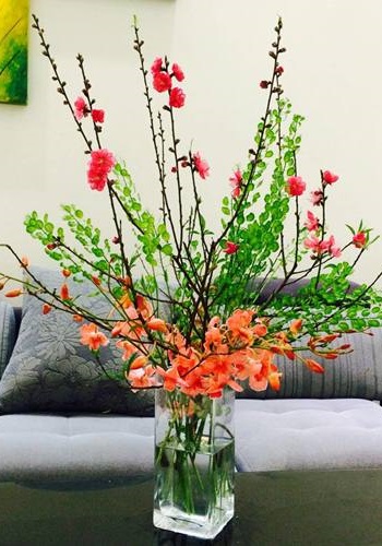 Các kiểu cắm hoa đẹp nhất, đơn giản nhất ngày lễ Tết Các kiểu cắm hoa đẹp nhất, đơn giản nhất ngày lễ Tết