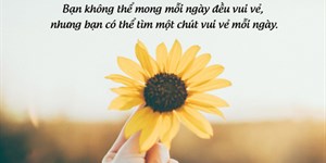 Cap hay ngắn vui, stt hài hước ngắn đăng Facebook