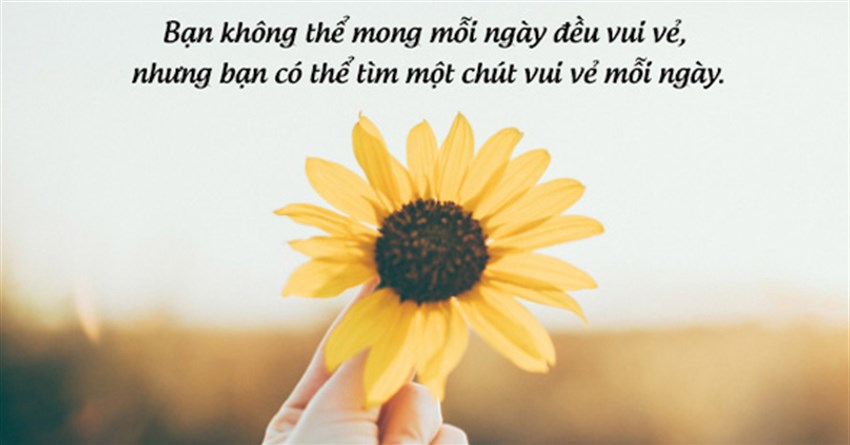 Cap hay ngắn vui, stt hài hước ngắn đăng Facebook