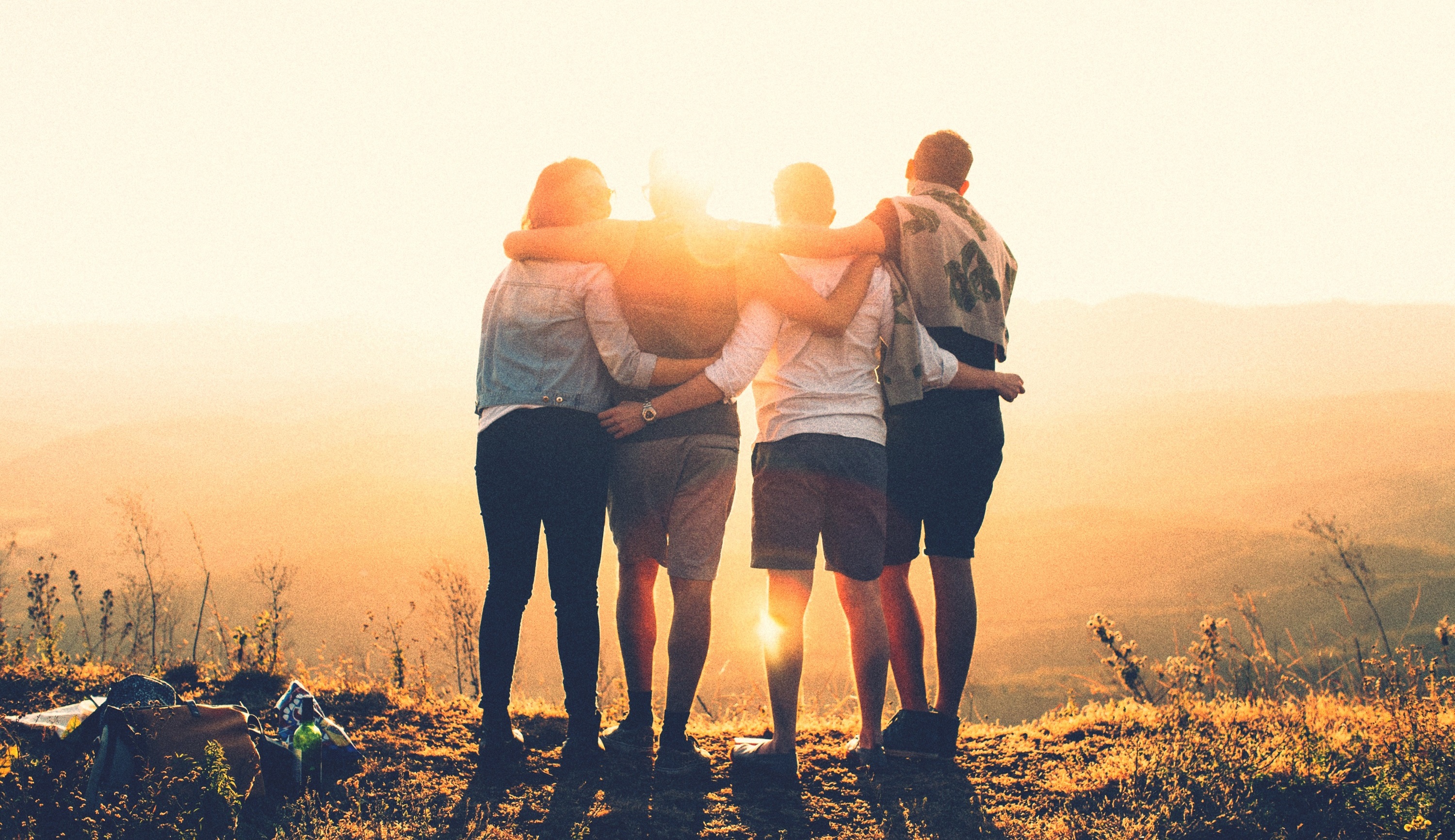 Tình bạn là gì?