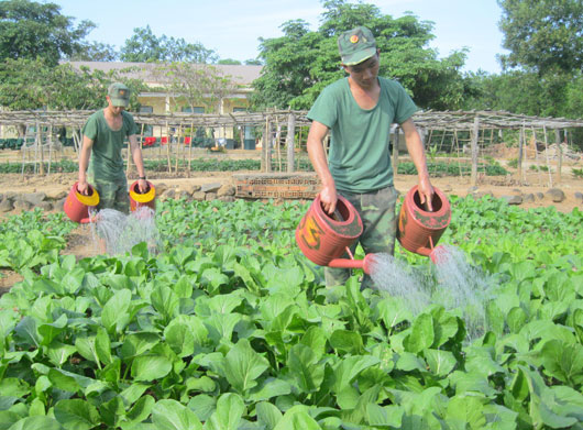 Hình ảnh đẹp về các chú bộ đội Hình ảnh đẹp về các chú bộ đội