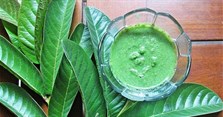Lá ổi có tác dụng gì? Uống nước lá ổi hàng ngày có tốt không?