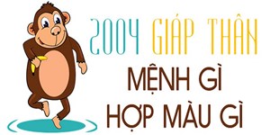 2004 mệnh gì, tuổi con gì, hợp màu gì, hợp với tuổi nào?