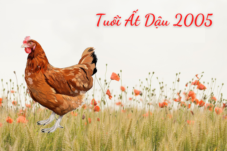 Sinh năm 2005 tuổi gì?
