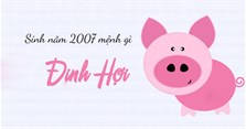 Sinh năm 2007 mệnh gì, hợp màu gì, tuổi con gì, hợp số nào?