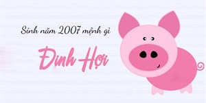 Sinh năm 2007 mệnh gì, hợp màu gì, tuổi con gì, hợp số nào?