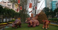 Sinh năm 2009 mệnh gì, là tuổi con gì, hợp màu gì?