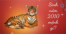 Sinh năm 2010 mệnh gì, là tuổi con gì, hợp màu gì?
