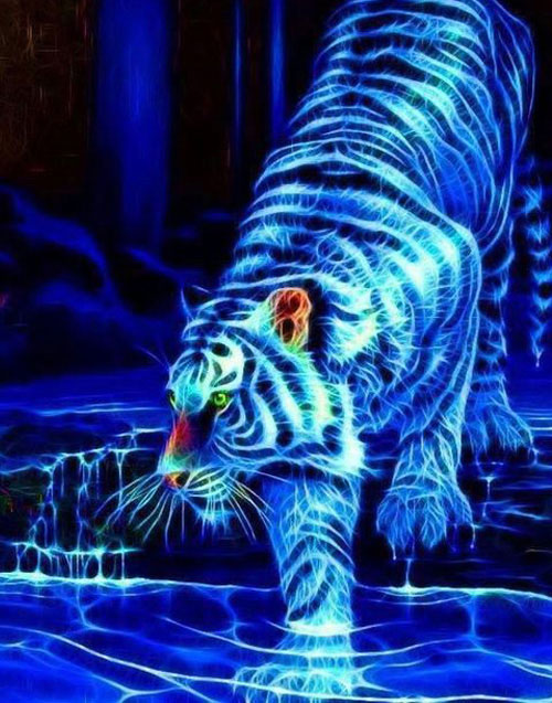 Hình ảnh hổ đẹp