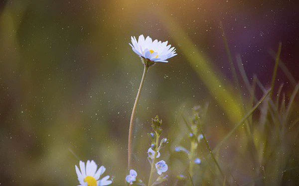 Câu nói tiếng Anh hay