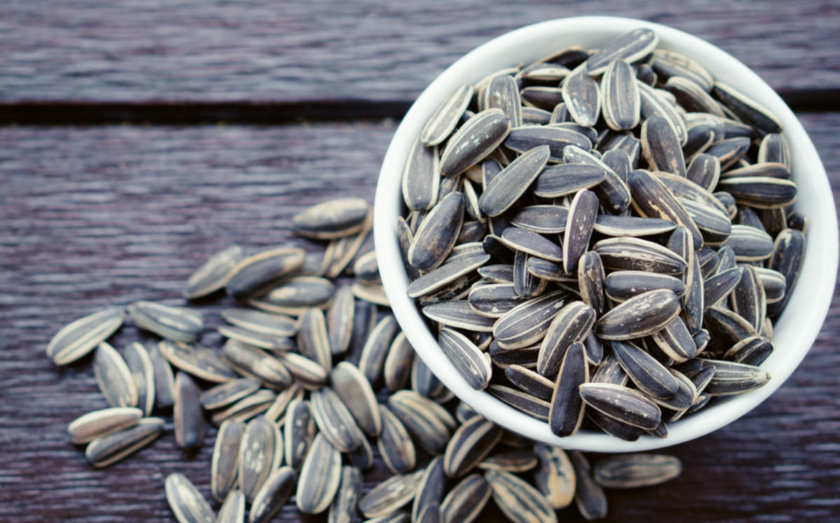 Hạt hướng dương có bao nhiêu calo? Hạt hướng dương có bao nhiêu calo?