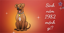 Sinh năm 1982 mệnh gì, tuổi con gì, hợp màu gì, hợp cây nào?