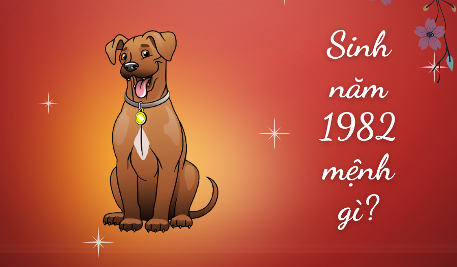 Sinh năm 1982 mệnh gì? Sinh năm 1982 mệnh gì?