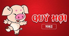Sinh năm 1983 mệnh gì, tuổi con gì, hợp màu gì, hợp cây gì?