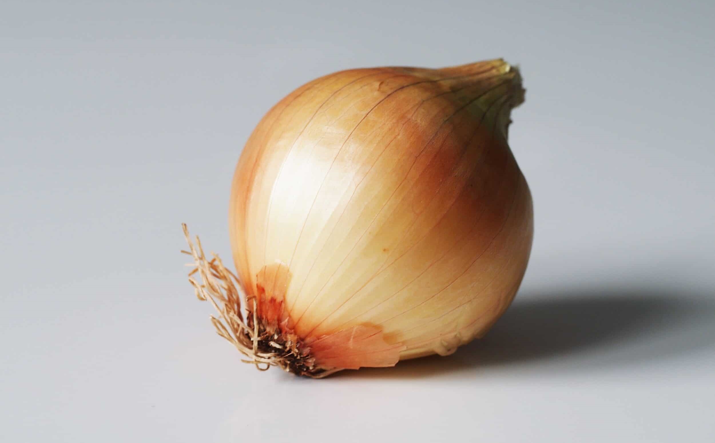 Tìm hiểu về hành tây