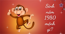Sinh năm 1980 mệnh gì, tuổi con gì, hợp màu gì, hợp cây nào?