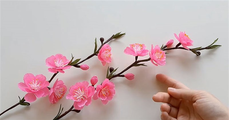 3 Cách làm hoa đào bằng giấy đẹp, đơn giản cho ngày Tết