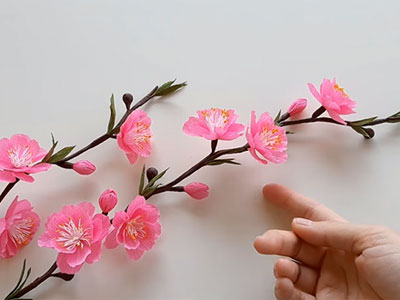 3 Cách làm hoa đào bằng giấy đẹp, đơn giản cho ngày Tết