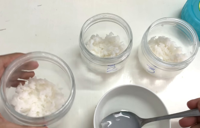 Cách làm mẻ chua nhanh nhất Cách làm mẻ chua nhanh nhất